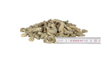 Korallenbruch ca. 30 mm / 20 kg Sack