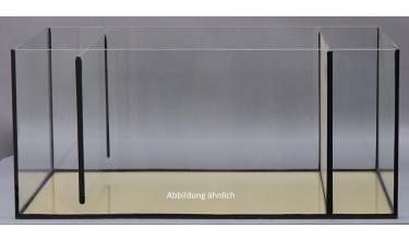 Glas-Filterbecken 110 x 50 x 40 cm in 8 mm